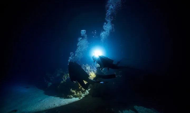 Night Dive Adventure in Oahu