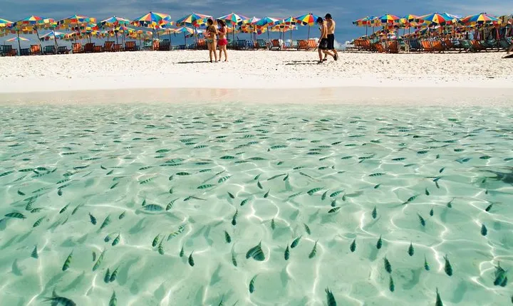 Khai Island Half Day Tour by Speedboat from Phuket (SHA Plus)