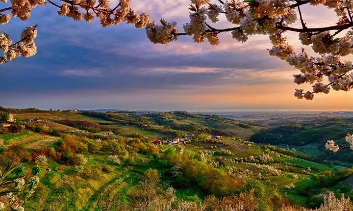 Collio: Cividale Del Friuli and Wine Tastings from Trieste
