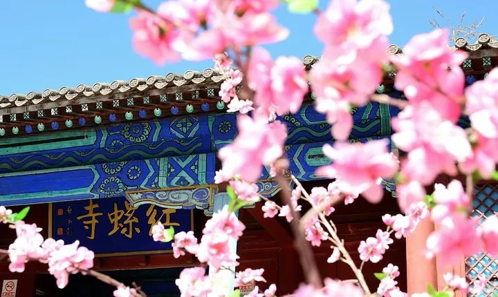 Relaxing Private Driver to Hongluo Temple and Yanqi Lake 