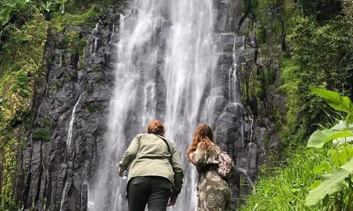 Kilimanjaro Waterfalls Hike & Moshi Hot Springs Day Trip Tour