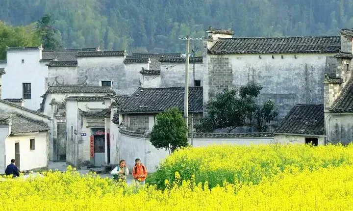 3-Day Private Huangshan Tour: Hongcun Village & Overnight on Mt Huangshan