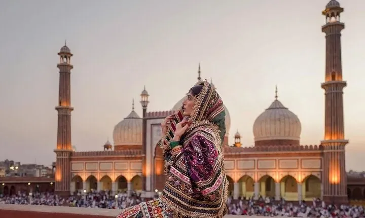 Private 8-Hour Delhi Tour Explore Old & New Delhi with Entrances