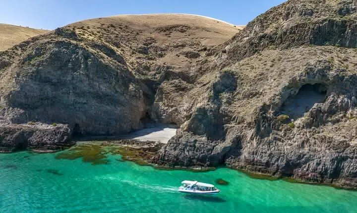Sea Wirrina Tour - From Wirrina Cove