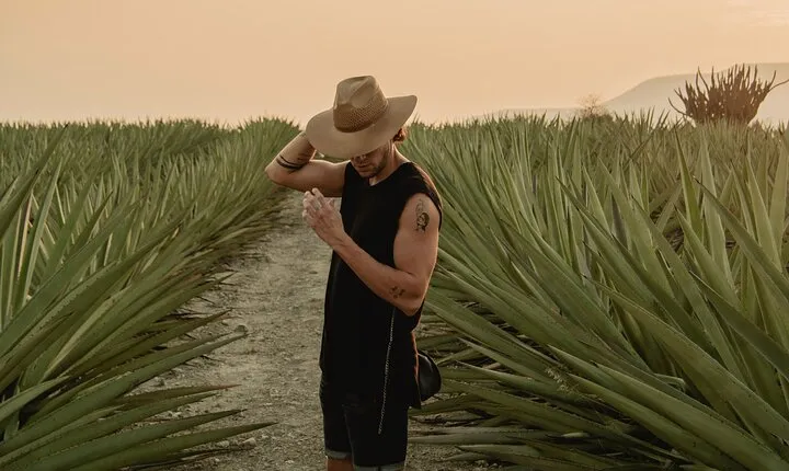 The Mezcal Journey