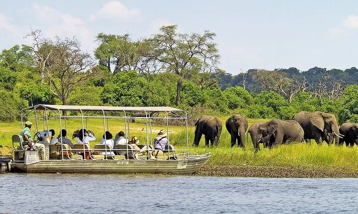 Chobe Day Trip from Livingstone