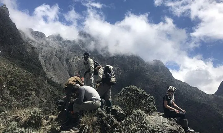 3 days Mountain Ruwenzori climbing in Uganda