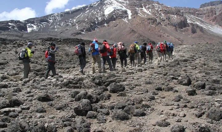 6 Days Mount Kilimanjaro Trekking through Marangu Route