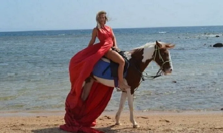Horse Riding 2 Hours in Nabq Bay beach & Transfer-Sharm El Sheikh