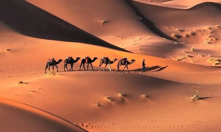 9 Days Tour from Fez to Marrakech