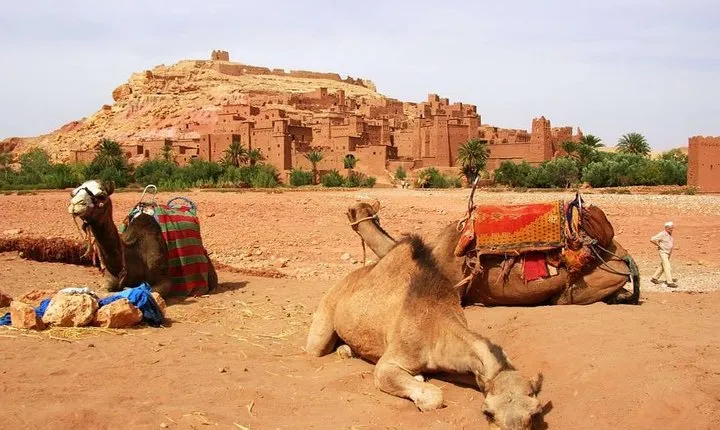 2 Day Excursions Marrakech Merzouga Erg Chebbi Camel Trek 2 Days 1 Nights Luxury