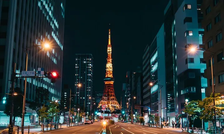 Tokyo City Tour (With English or Japanese Speaking Guide)