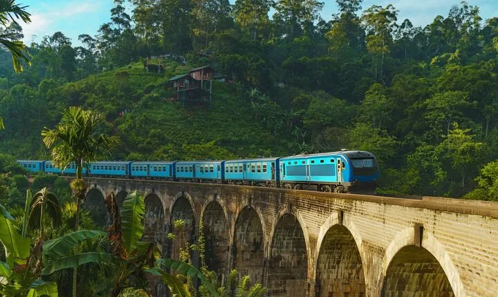Private Ella Tour from Galle and Weligama with Meals Included