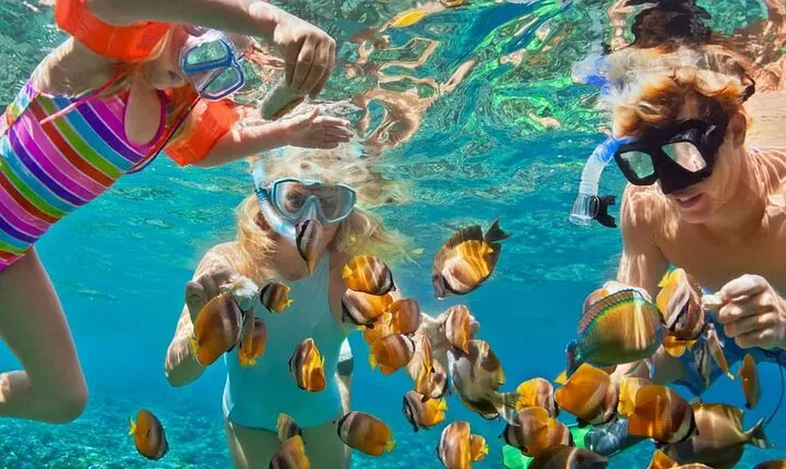 Unveiling the Beauty of Tiran Island from Sharm El Sheikh