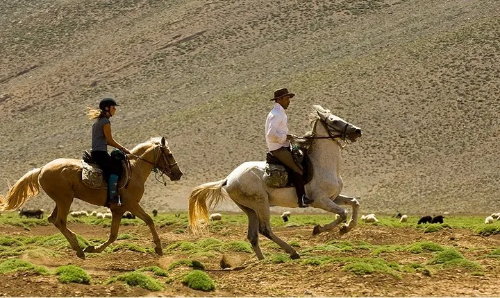  Atlas Mountains Horseback Ride Day Tour From Marrakech 