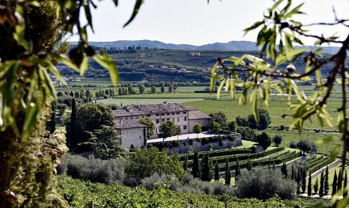 Tasting of 4 Valpolicella Wines with Vineyard and Cellar Tour