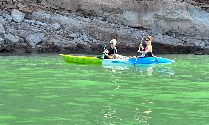Kayak/SUP Tour: Birds, Beavers, Turtles, maybe even Cliff Jumping