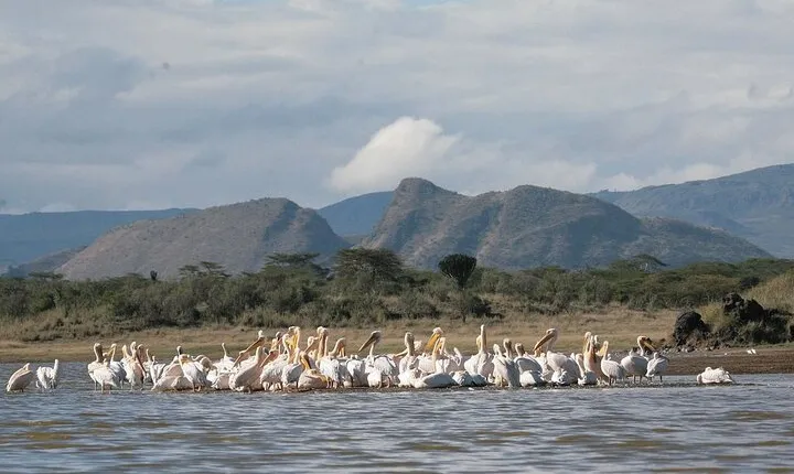 2 Days Prehistoric Tour in Elemantaita, Soysambu and Kariandusi