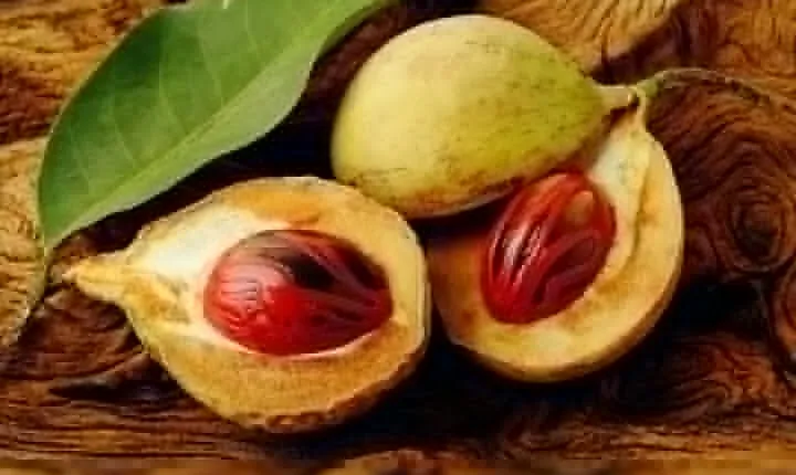 Grenada Spice Gardens, Rum & Chocolate Tour (Full/Half Day)