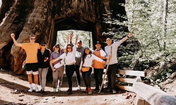 San Francisco to Yosemite One-Way Transfer