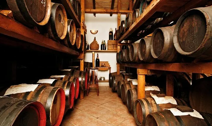 Cavedoni Balsamic Vinegar Tour: The Oldest in Modena