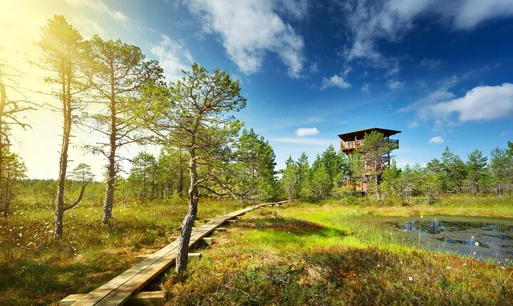 Private Day Tour to Lahemaa National Park from Tallinn