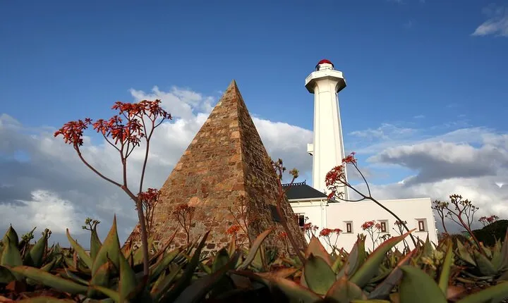 Port Elizabeth Safari and City Tour from Gqeberha