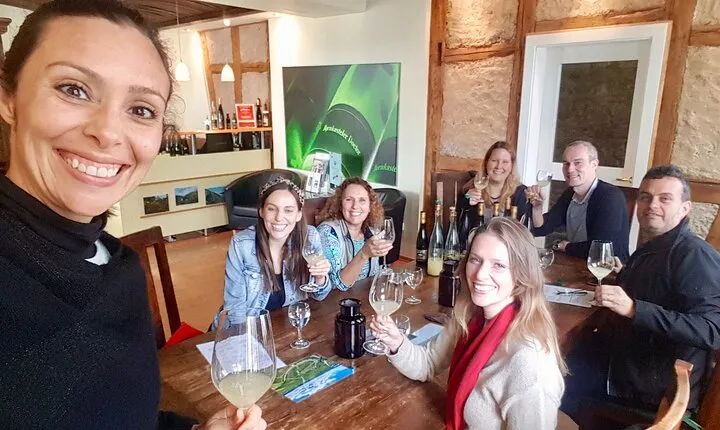 Small Group Rheingau Vineyards Tour with Castles and Abbeys