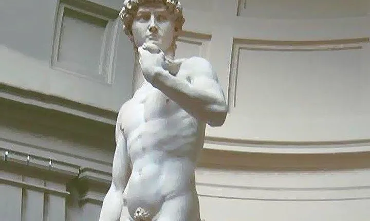 David Tour - Skip the Line Galleria della Accademia Guided Tour