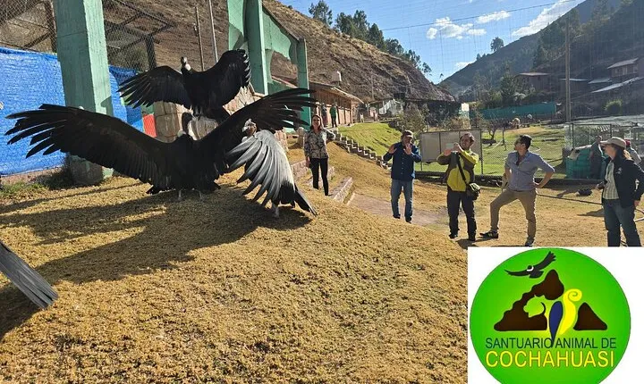 Cochahuasi Animal Sanctuary Admission Ticket