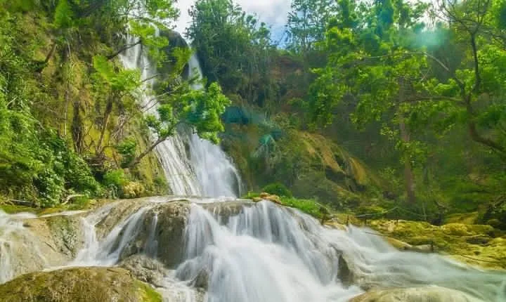 Mele Cascades and Waterfalls (3 Hour Guided Tour)