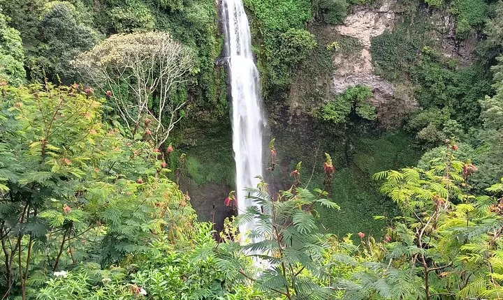 Jakarta Bogor Botanical Garden, Waterfall and Rice terrace, Lunch