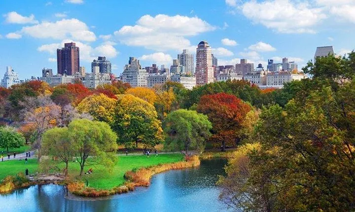 Private Walking Tour of New York City for Groups
