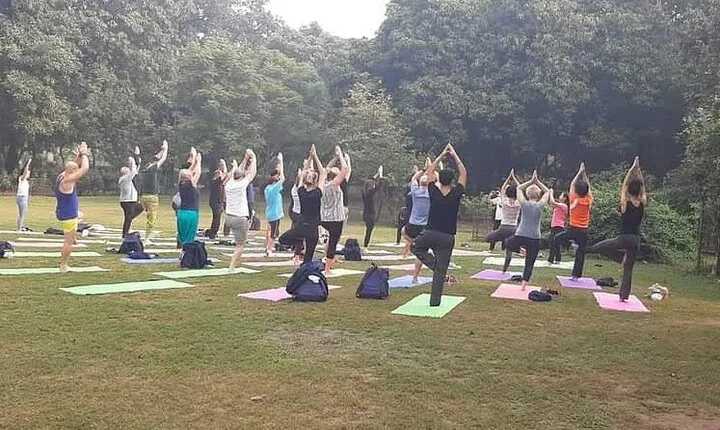 Yoga Tour To India