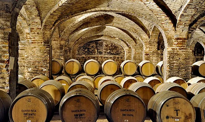 Santa Rita Vineyard Tour with Lunch An unforgettable experience!