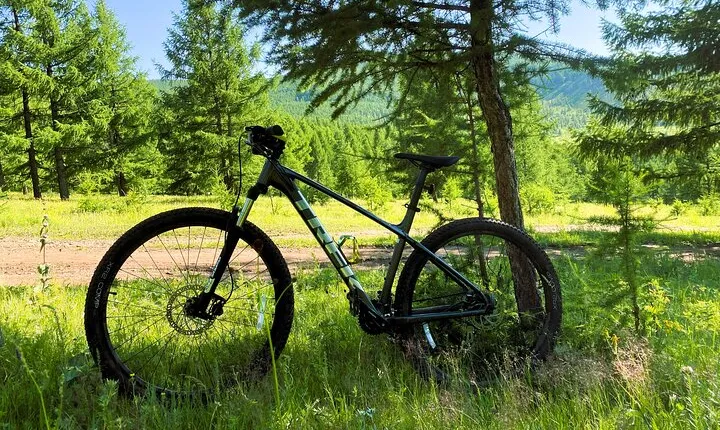 Mountain Bike (MTB) Rental
