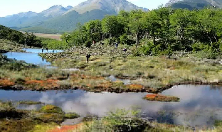 Tierra del Fuego National Park with Lapataia Bay from Ushuaia