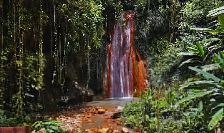 St Lucia Diamond Mineral Baths, Mud Baths & Waterfall Adventure
