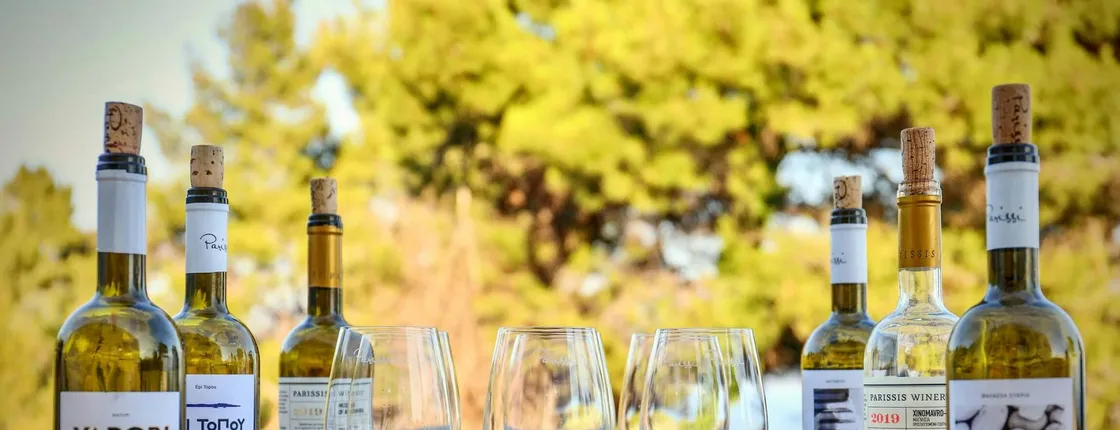 Skiathos Wine Tasting Tour