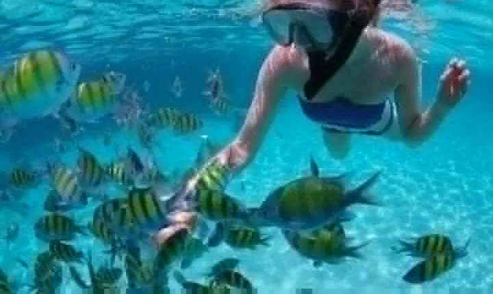 Snorkel and Kayak Adventure at Santa Maria Beach