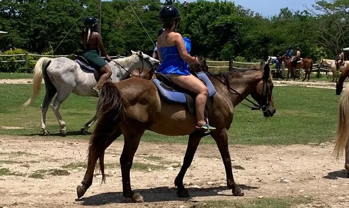 Horseback Ride, Zipline and ATV Adventure from Montego Bay