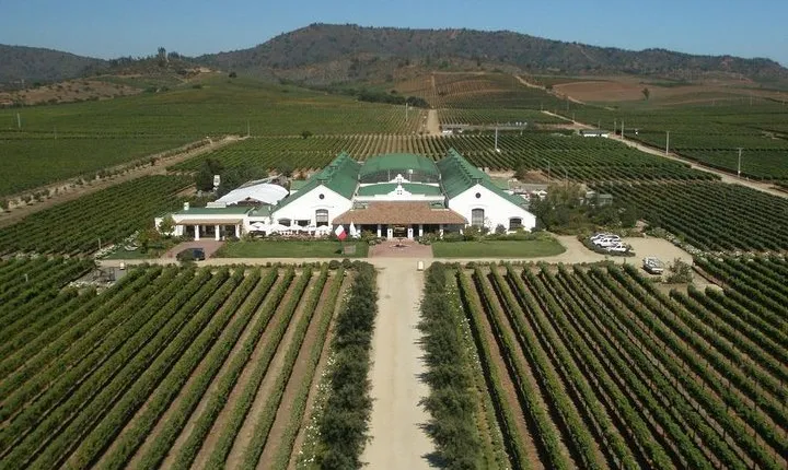 Casas del Bosque vineyard tour