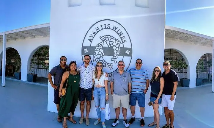 Santorini Half Day Wine Tasting & Winery Tour with Pickup