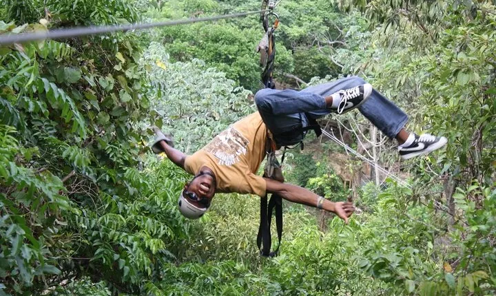 Roatan: Zipline & Snorkel Combo