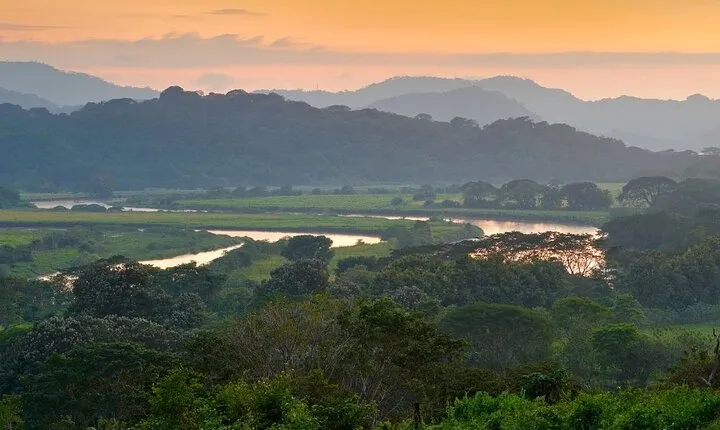 Carara National Park and Crocodile River Cruise