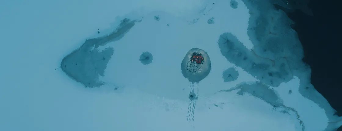 Arctic floating in Lakeland