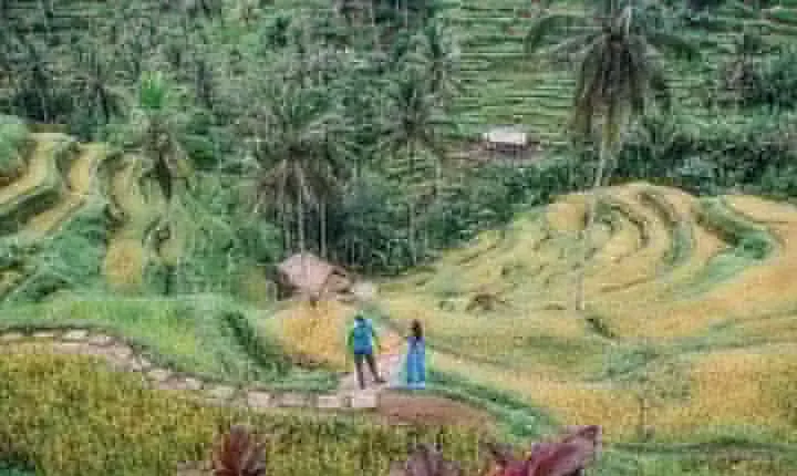 6D5N Bali Highlights Tour: Beaches, Culture, Ubud Cooking Class, Ayung Rafting