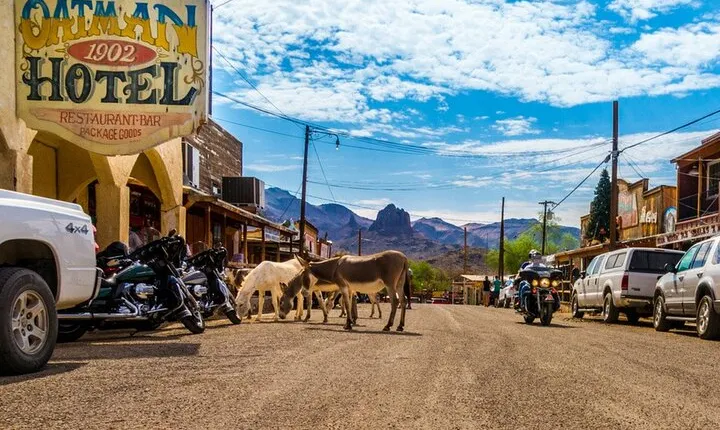 Historic Route 66 Bus Tour to Oatman