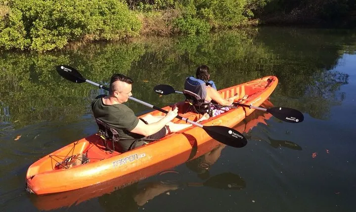 Tamarindo river guided kayak mangrove & environment watching tour in Guanacaste