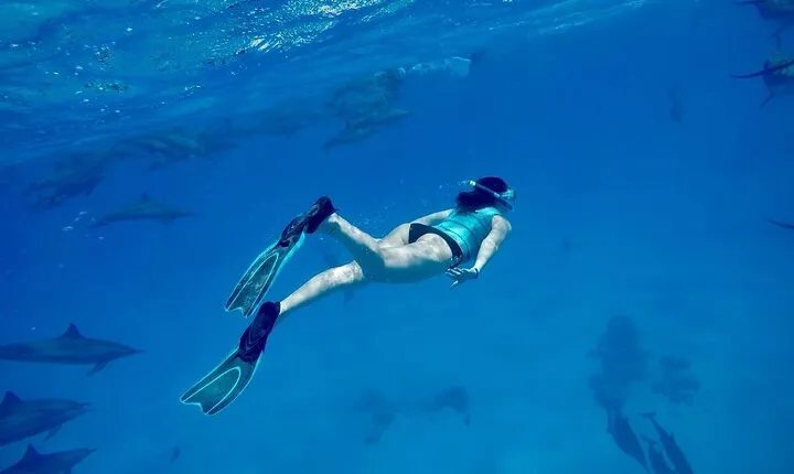 Sataya Reef Full Day Snorkeling Experience from Marsa Alam